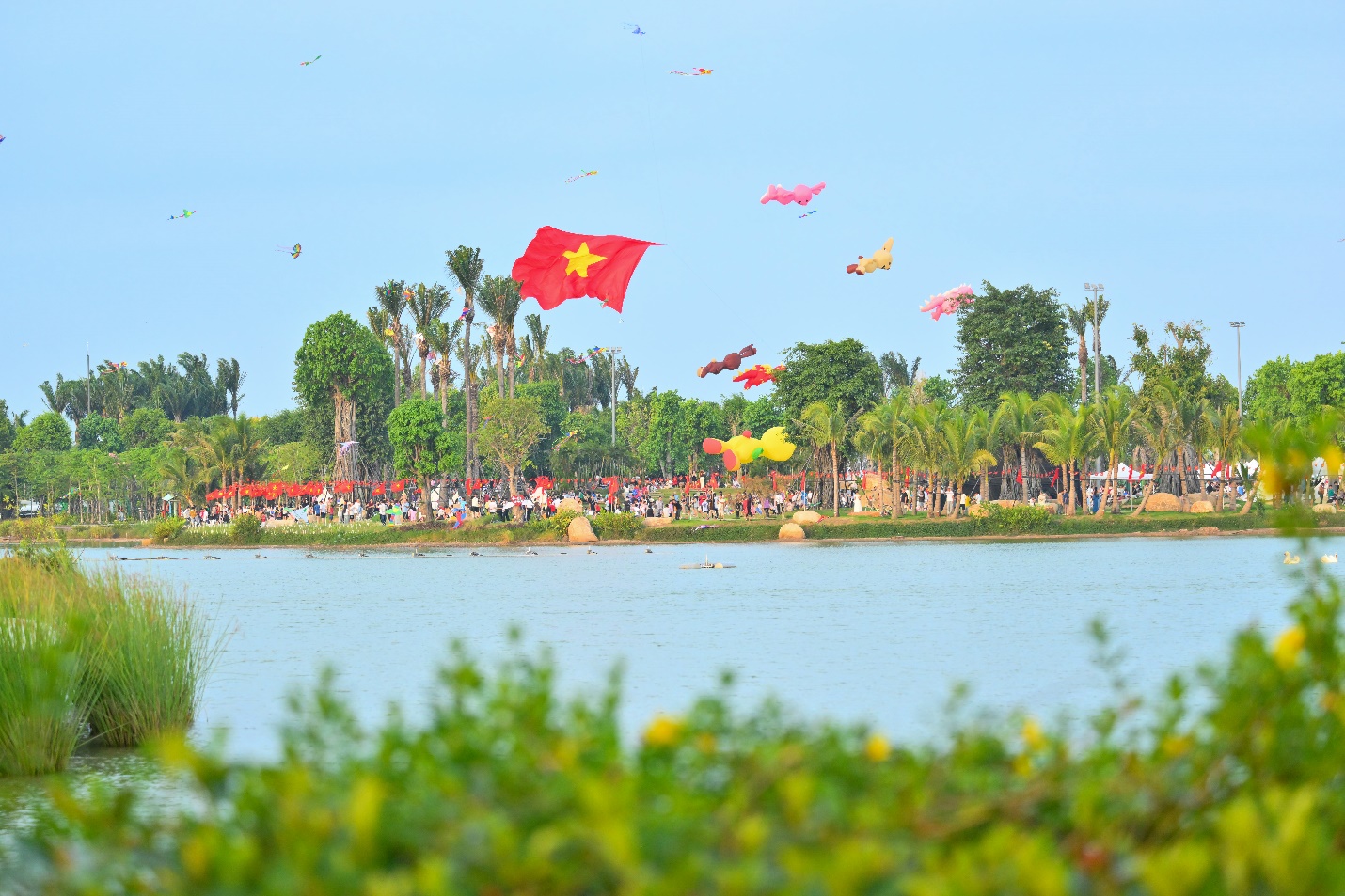 Ecopark ra mắt Rừng Phượng – đáp ứng nhu cầu của nhiều gia đình có con nhỏ trong độ tuổi đến trường - Ảnh 7.