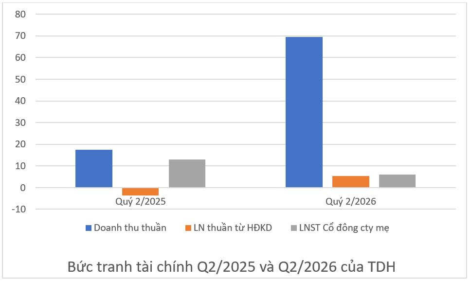 Báo lãi mảng cốt lõi, Nhà Thủ Đức (TDH) bứt phá doanh thu quý 2- Ảnh 1.