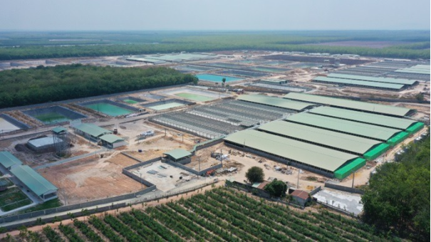 BAF Việt Nam vận hành phần mềm cân Mắt Thần tại 30 trại heo phía Nam - Ảnh 1. BAF Việt Nam vận hành phần mềm cân Mắt Thần tại 30 trại heo phía Nam - Ảnh 1.