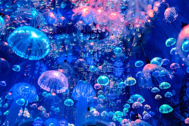 Có gì bên trong “Siêu du thuyền” SACOMBANK Visa tại concert The Siren World Opens 2026? - Ảnh 11.