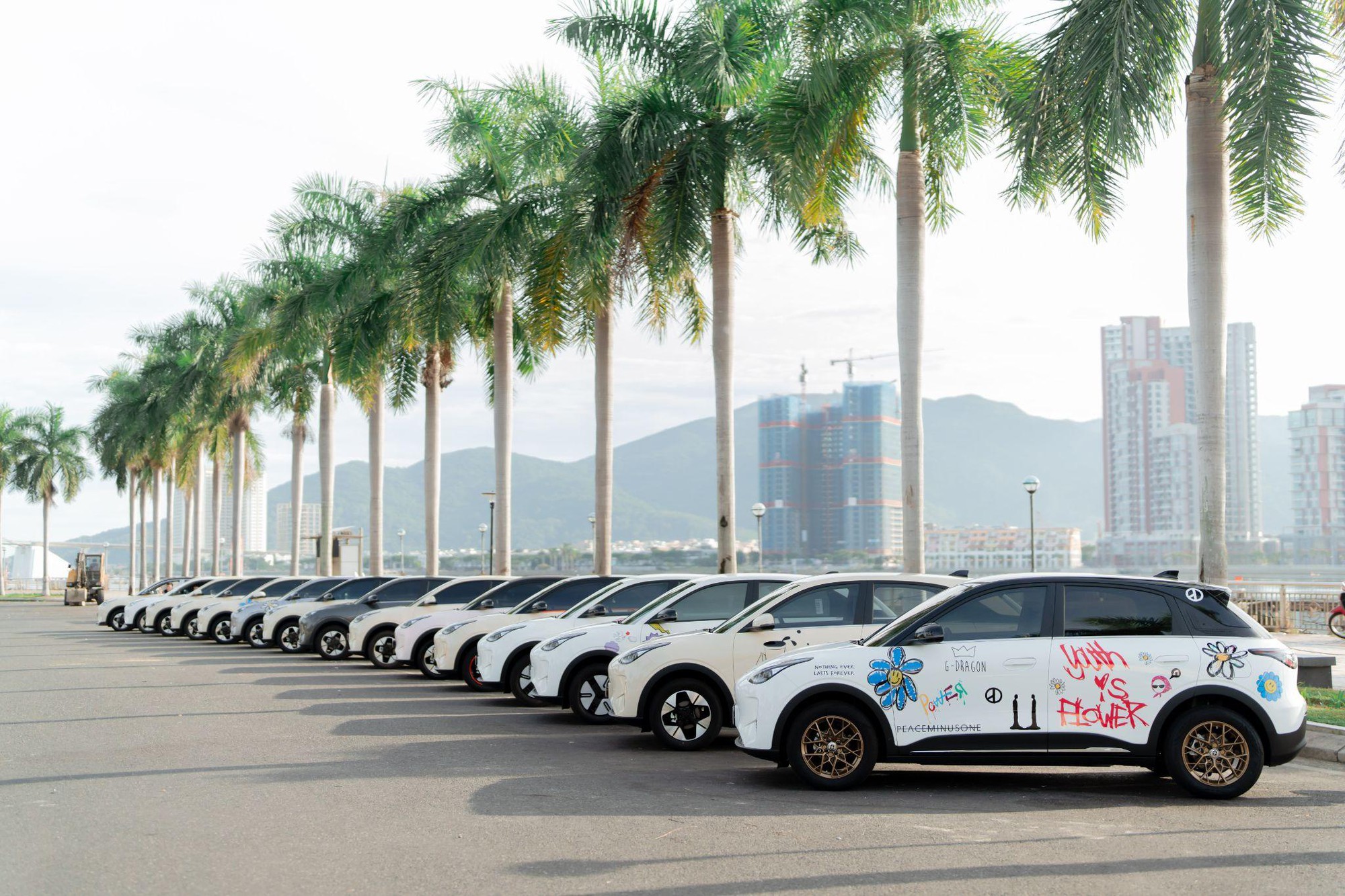 ‏Mãn nhãn dàn Geely EX2 khoe cá tính cùng bộ sưu tập decal độc đáo tại Roadshow Đà Nẵng ‏ - Ảnh 2.