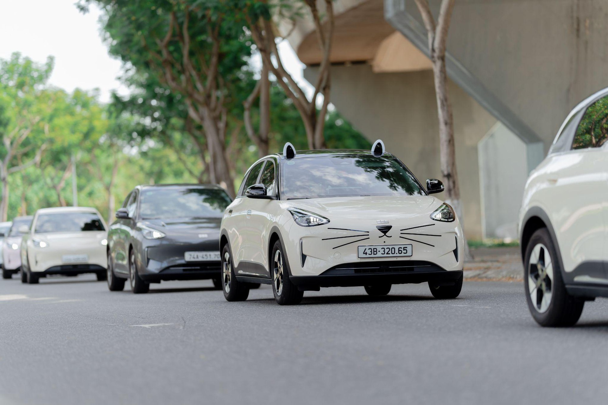 ‏Mãn nhãn dàn Geely EX2 khoe cá tính cùng bộ sưu tập decal độc đáo tại Roadshow Đà Nẵng ‏ - Ảnh 6.