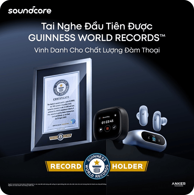 Guinness World Record Certificate