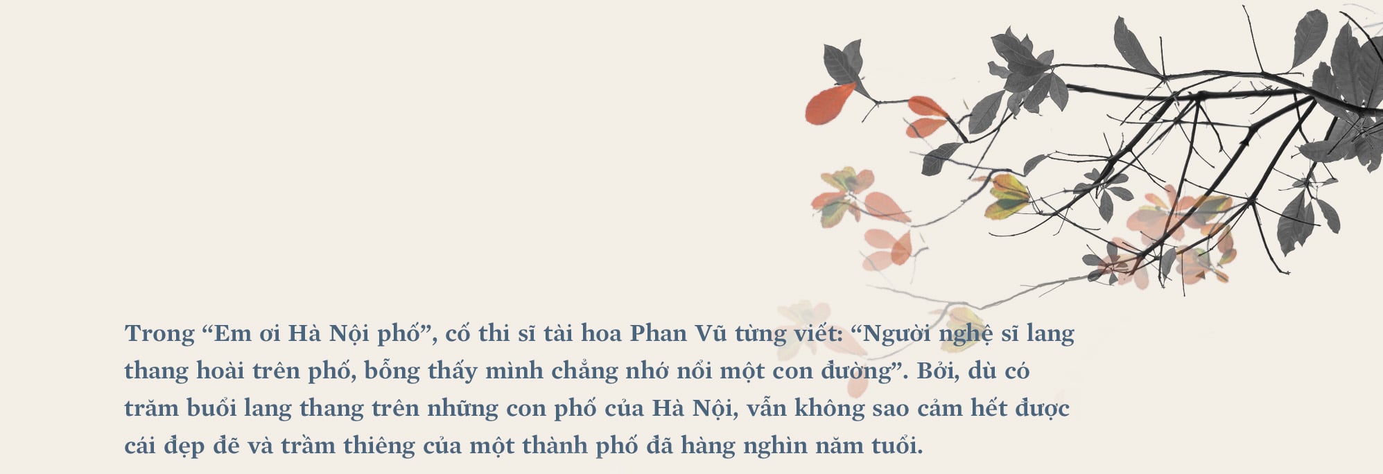 Kiến trúc Hà Nội: làm sao để giữ trọn tinh hoa? - Ảnh 2.