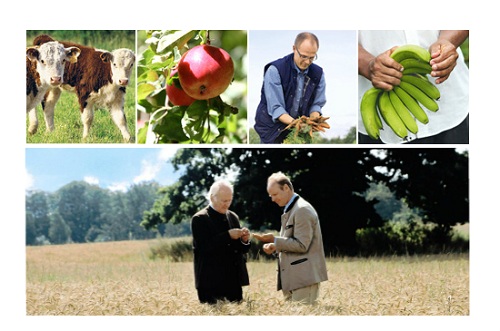 Điều chưa biết khi d&ugrave;ng thực phẩm Organic cho con 3