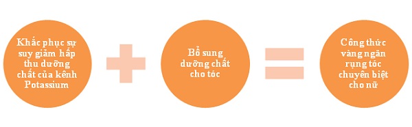 Biện ph&aacute;p ngăn ngừa rụng t&oacute;c hữu hiệu cho ph&aacute;i đẹp 2
