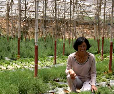 Đột nhập vườn rau si&ecirc;u sạch ở Đ&agrave; Lạt 2