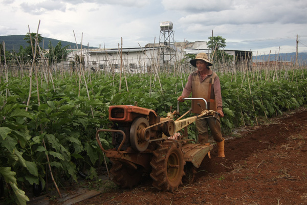 Đột nhập vườn rau si&ecirc;u sạch ở Đ&agrave; Lạt 8