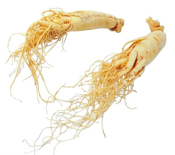 C&ocirc;ng dụng giảm stress của tinh chất nh&acirc;n s&acirc;m kết hợp vitamin v&agrave; kho&aacute;ng chất  2