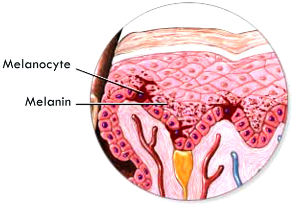 Cho l&agrave;n da trắng mịn sau m&ugrave;a nắng gắt 1