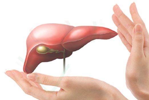 Lựa chọn "thức uống v&agrave;ng" cho l&aacute; gan 1