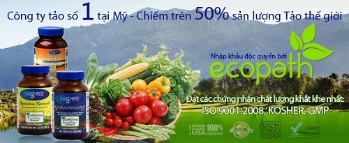 Thực phẩm tự nhi&ecirc;n hỗ trợ điều trị ung thư 2