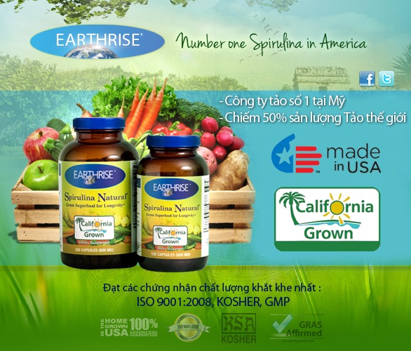 Thực phẩm gi&uacute;p người gầy tăng c&acirc;n nhanh 2