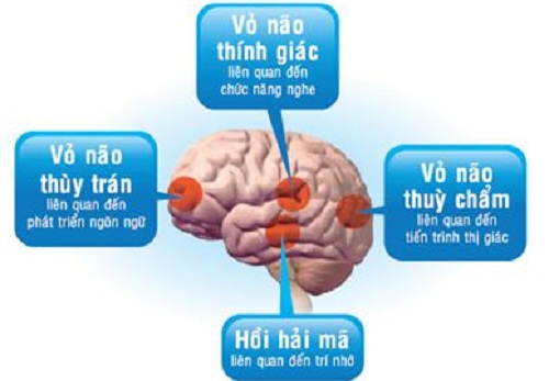 Những b&agrave;i tập đơn giản gi&uacute;p ph&aacute;t triển tr&iacute; n&atilde;o trẻ 2
