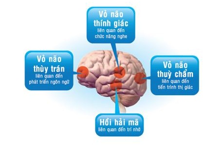 3 &ldquo;tuyệt chi&ecirc;u&rdquo; cho mẹ gi&uacute;p trẻ th&ocirc;ng minh hơn 1