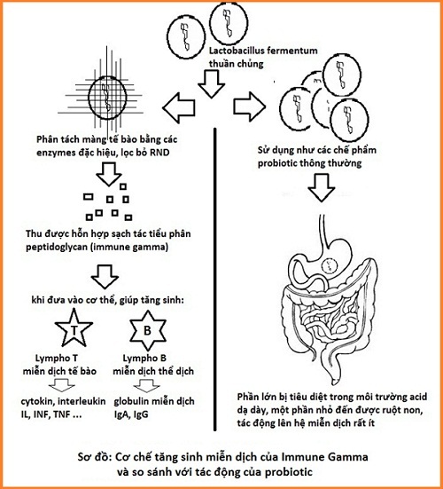 Ngăn chặn vi&ecirc;m đường h&ocirc; hấp t&aacute;i ph&aacute;t ở trẻ sau khi d&ugrave;ng kh&aacute;ng sinh 2