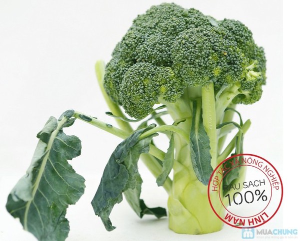 Đi chợ thực phẩm online tiết kiệm thời gian cho c&aacute;c b&agrave; nội trợ 1