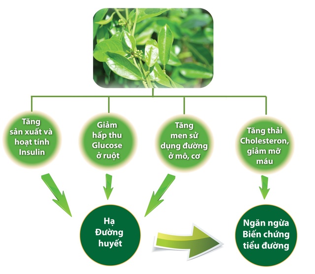 Trị tiểu đường kh&ocirc;ng lo t&aacute;c dụng phụ 1