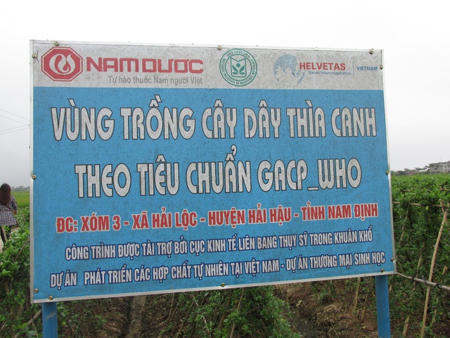Trị tiểu đường kh&ocirc;ng lo t&aacute;c dụng phụ 2