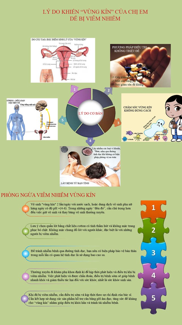 L&yacute; do khiến &ldquo;v&ugrave;ng k&iacute;n&rdquo; của chị em dễ bị vi&ecirc;m nhiễm 1