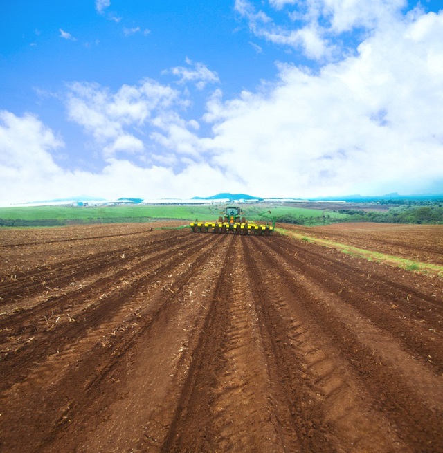 B&agrave; chủ TH true MILK: "Ng&agrave;y n&agrave;o với t&ocirc;i cũng l&agrave; ng&agrave;y hạnh ph&uacute;c" 3