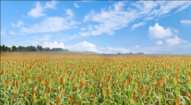 B&agrave; chủ TH true MILK: "Ng&agrave;y n&agrave;o với t&ocirc;i cũng l&agrave; ng&agrave;y hạnh ph&uacute;c" 4