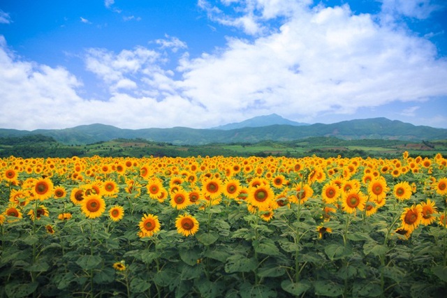 B&agrave; chủ TH true MILK: "Ng&agrave;y n&agrave;o với t&ocirc;i cũng l&agrave; ng&agrave;y hạnh ph&uacute;c" 6