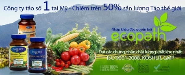 Ph&ograve;ng v&agrave; hỗ trợ điều trị bệnh gan nhiễm mỡ 3