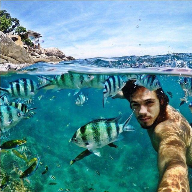Tự sướng cùng đàn cá, anh chàng này quả thực đã có 1 bức selfie vô cùng hoàn hảo.