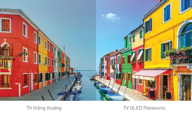 Nhờ vậy, tivi OLED Panasonic đã tạo nên những khung màu tinh tế cùng những hình ảnh vô cùng mãn nhãn và tự nhiên.