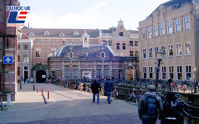 Tại sao nên chọn du học Hà Lan? - Ảnh 6.