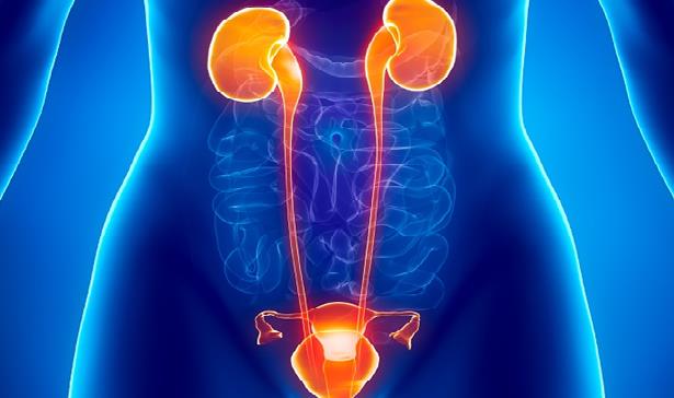 Bổ sung nội tiết tố nữ liệu c&oacute; đủ để &ldquo;hồi sinh&rdquo; ham muốn? - Ảnh 2.