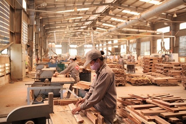 B&iacute; quyết lựa chọn đồ chơi th&ocirc;ng minh v&agrave; an to&agrave;n cho b&eacute; y&ecirc;u - Ảnh 1.