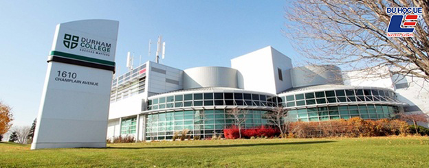 Cao đẳng Durham - Ngôi trường nghiên cứu nổi bật trong chương trình CES Canada - Ảnh 1.