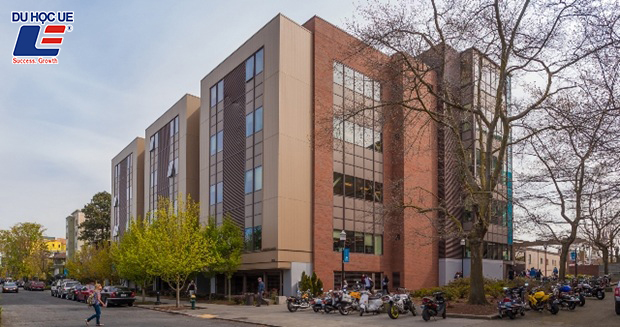 Cơ hội nhận học bổng lớn tại Seattle Central College, Mỹ - Ảnh 1.