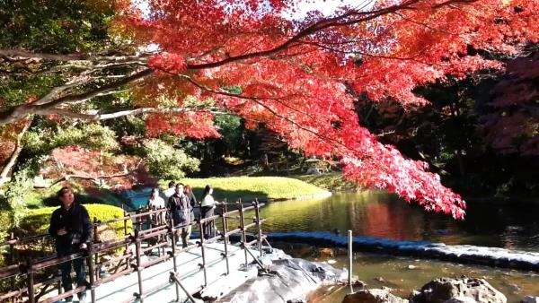 Nhật Bản - Tuyệt sắc giao mùa khiến bạn phải muốn đặt chân đến ngay - Ảnh 2.