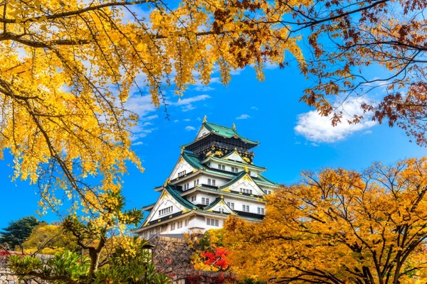 Nhật Bản - Tuyệt sắc giao mùa khiến bạn phải muốn đặt chân đến ngay - Ảnh 4.
