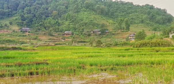 Cảnh đẹp Việt Nam qua ống kính Galaxy Note8 của Hoàng Lê Giang - Ảnh 13.