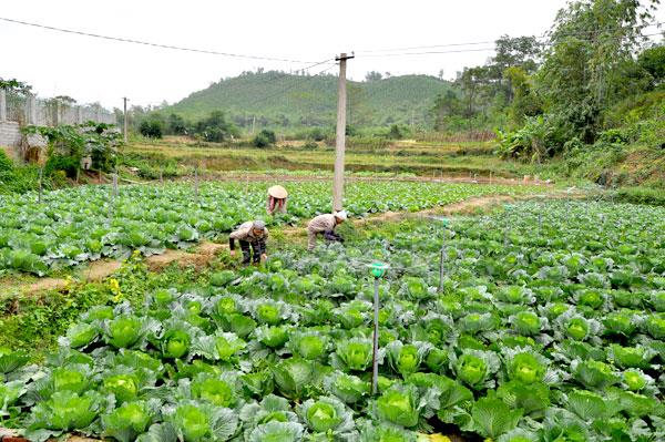 Muôn nẻo làm giàu của sinh viên khi Tết đến! - Ảnh 2.