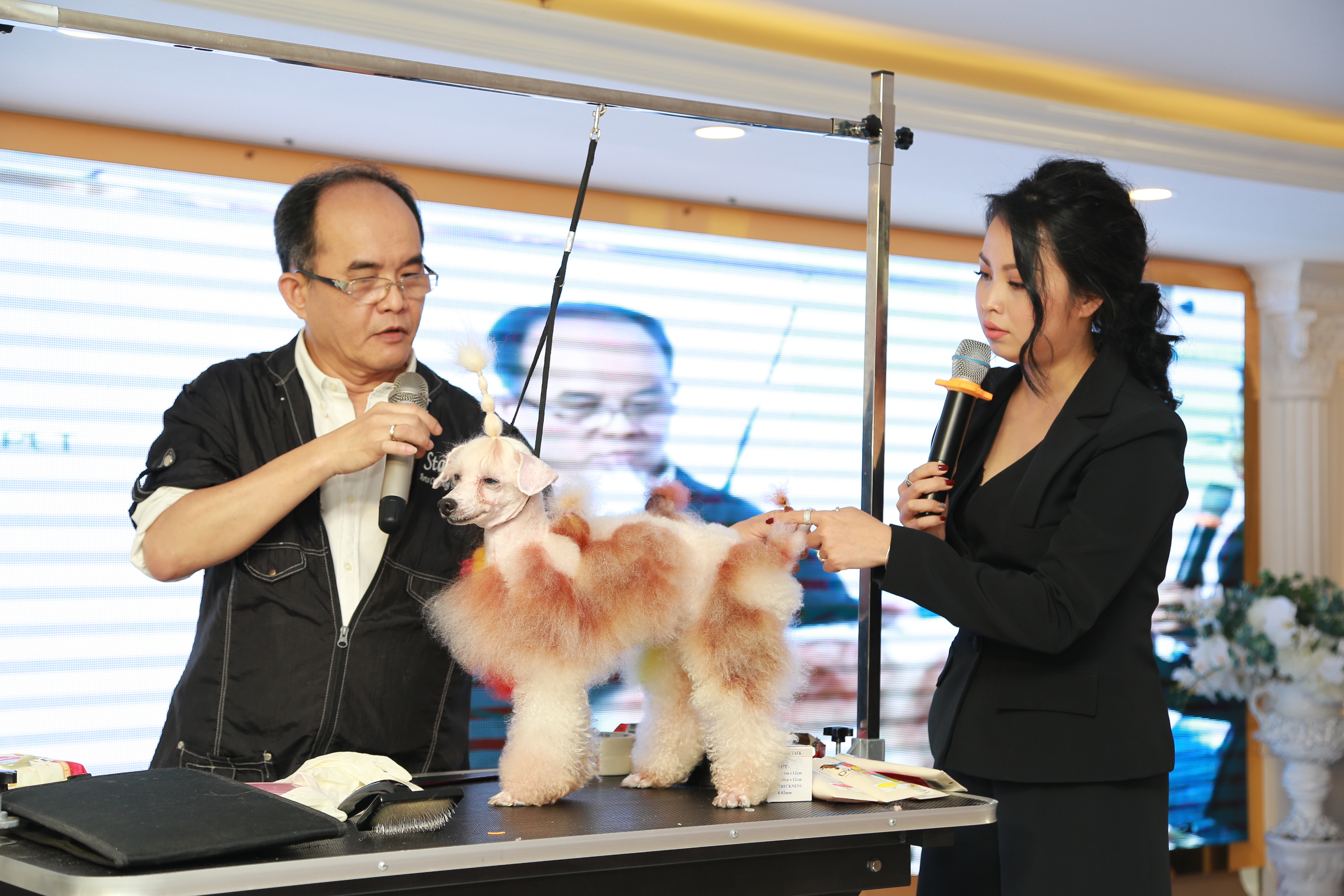 Hai chuyên gia hàng đầu thế giới về sáng tạo trên lông thú cưng phô diễn tài năng tại Việt Nam - Ảnh 3.