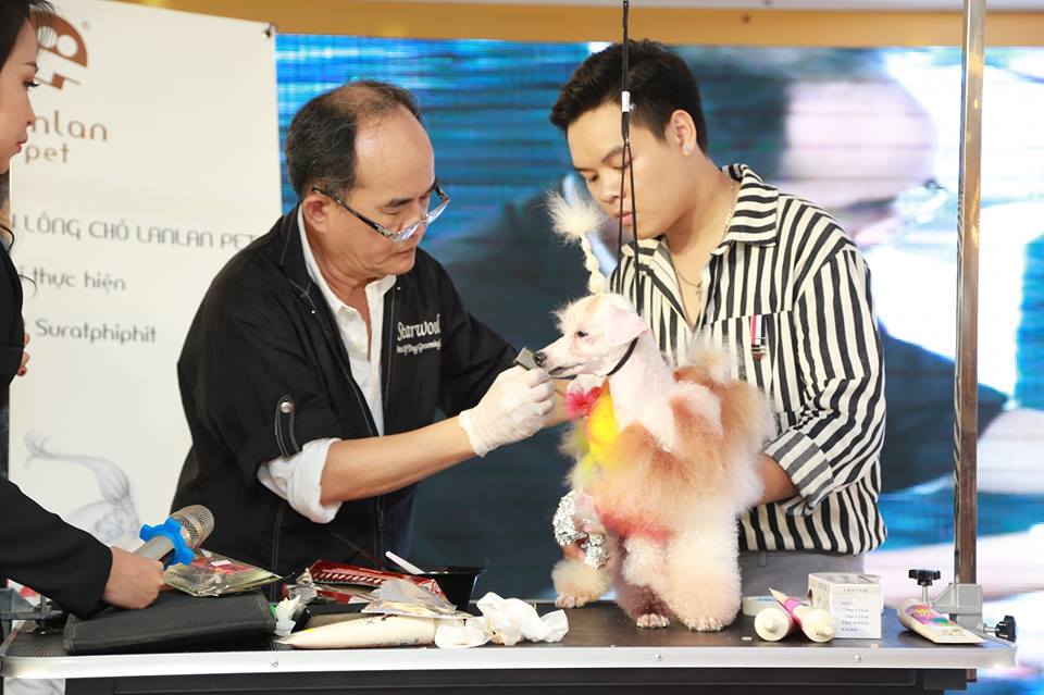 Hai chuyên gia hàng đầu thế giới về sáng tạo trên lông thú cưng phô diễn tài năng tại Việt Nam - Ảnh 4.