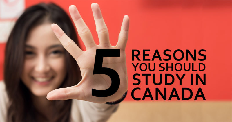 Du học phổ thông Canada và chương trình SDS “Một vốn bốn lời và nhiều hơn nữa” - Ảnh 1.
