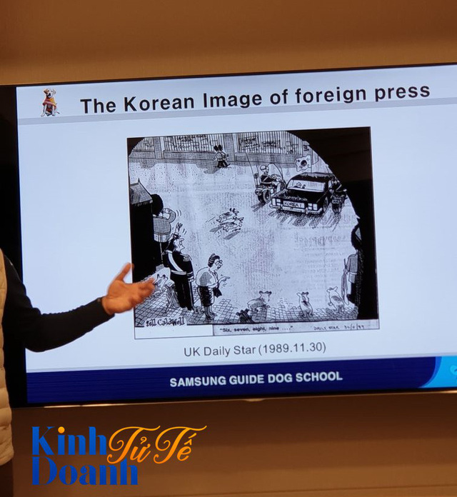 Tìm hiểu về ngôi trường dạy chó siêu độc đáo tại Hàn Quốc - Ảnh 2.