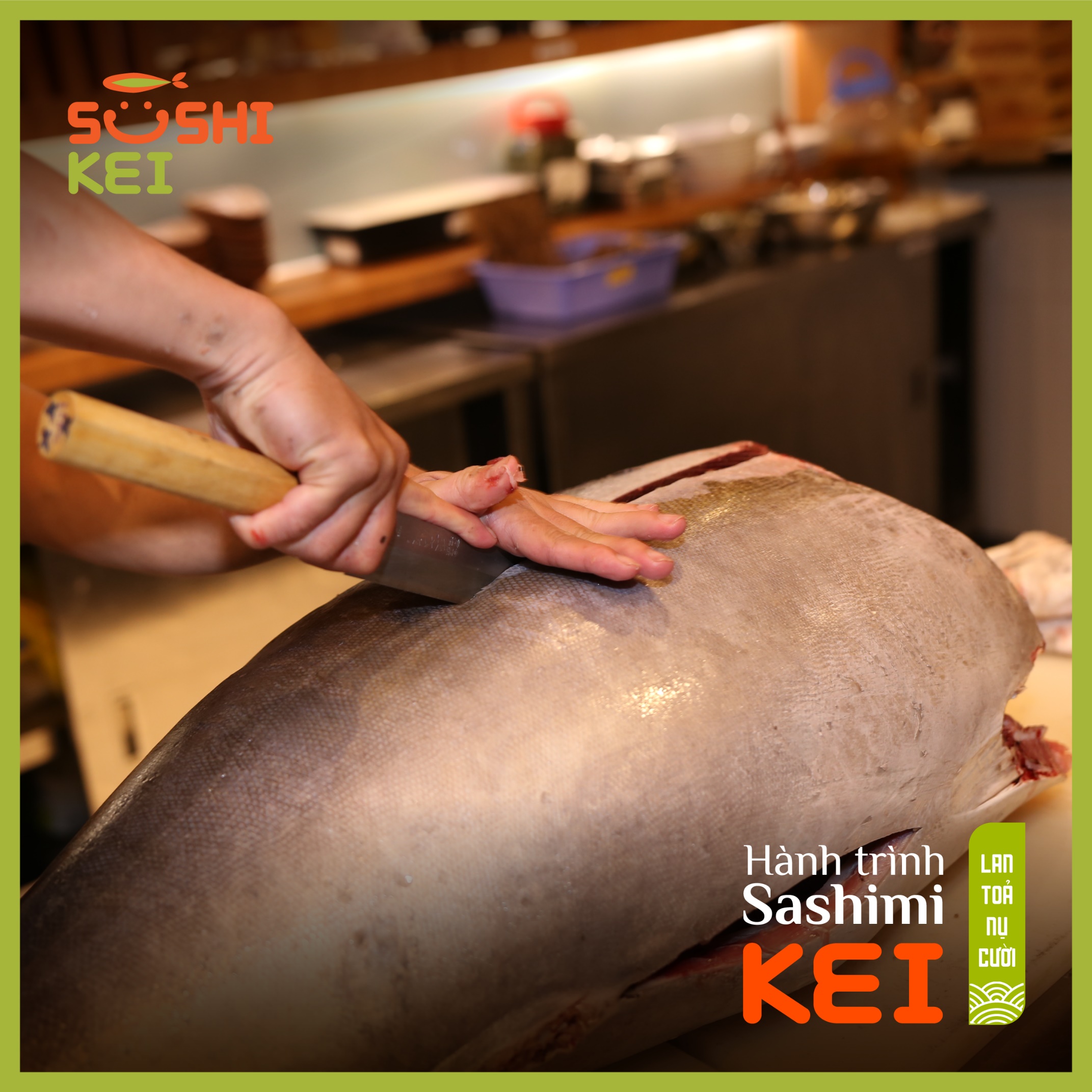 Kinh ngạc với cá ngừ khổng lồ 80kg cùng màn trình diễn chế biến chuyên nghiệp ngay tại nhà hàng Nhật - Sushi Kei - Ảnh 1.