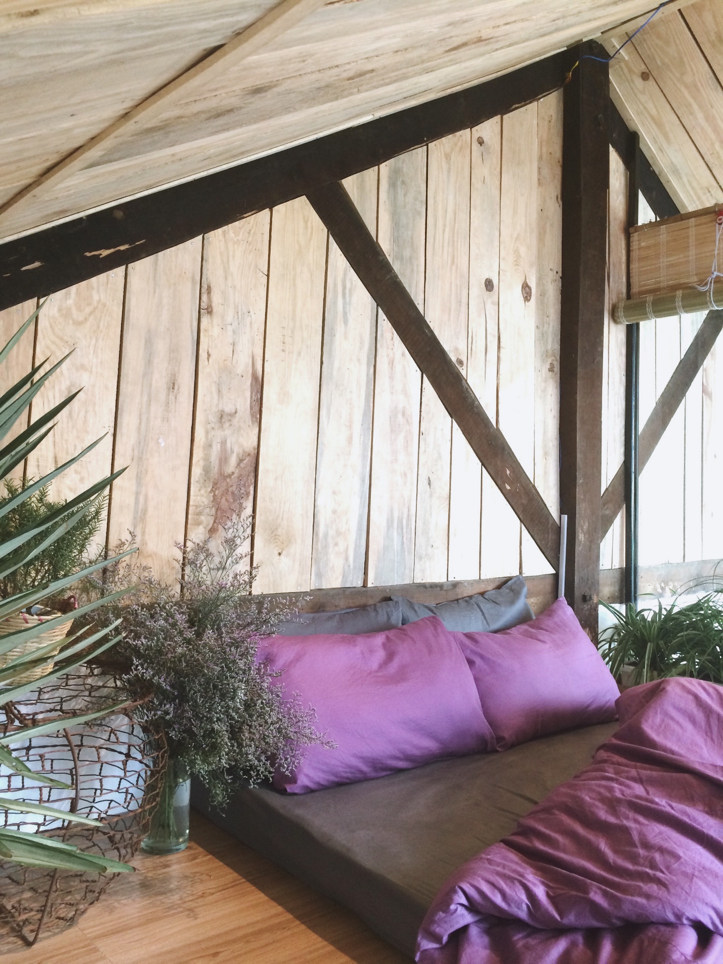 Đ&agrave; Lạt vui m&agrave; homestay &ndash; Đi thật xa để trở về - Ảnh 2.