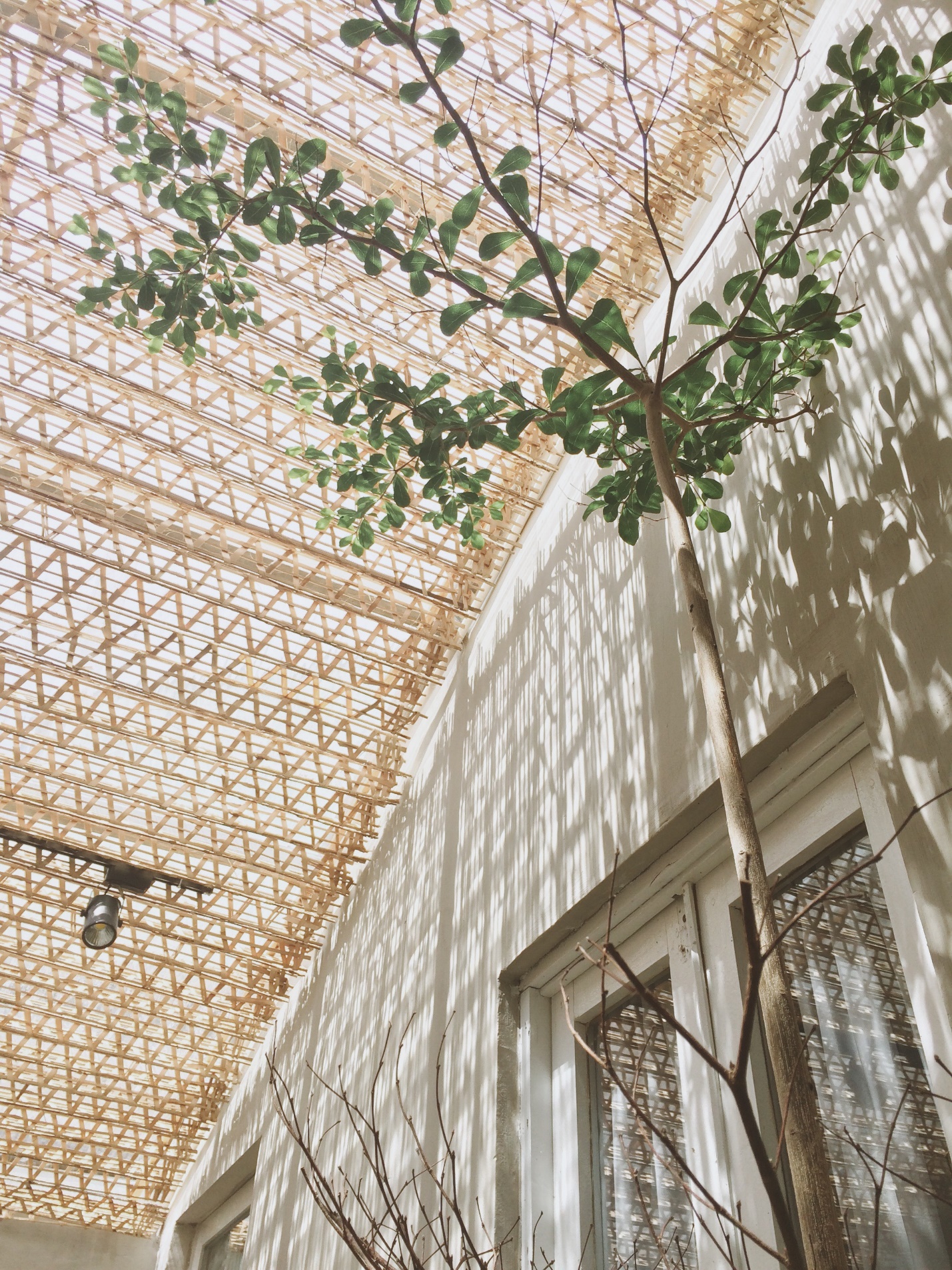 Đ&agrave; Lạt vui m&agrave; homestay &ndash; Đi thật xa để trở về - Ảnh 6.