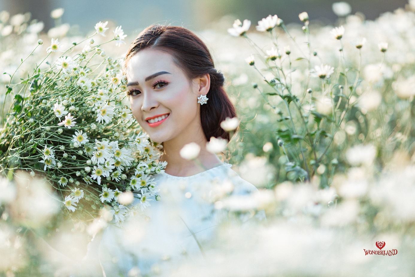 Phim trường Thái Nguyên đang gây sốt với cánh đồng cúc họa mi - Ảnh 1.