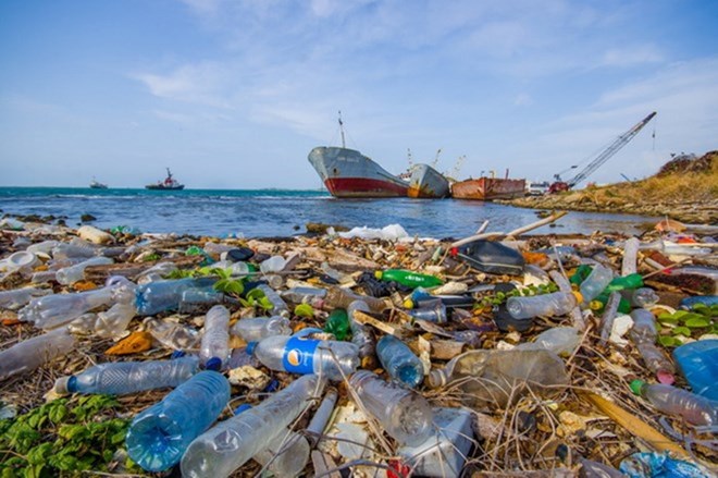 Năm 2050, đại dương sẽ nhiều rác hơn sinh vật biển - Ảnh 1.