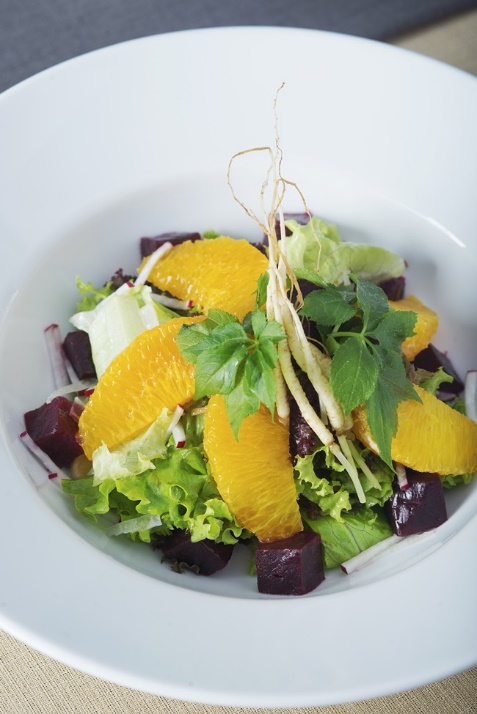 T&iacute;n đồ ẩm thực ch&uacute; &yacute;: Sắp diễn ra Gala Dinner đỉnh cao từ c&acirc;y mầm nh&acirc;n s&acirc;m H&agrave;n Quốc - Ảnh 5.