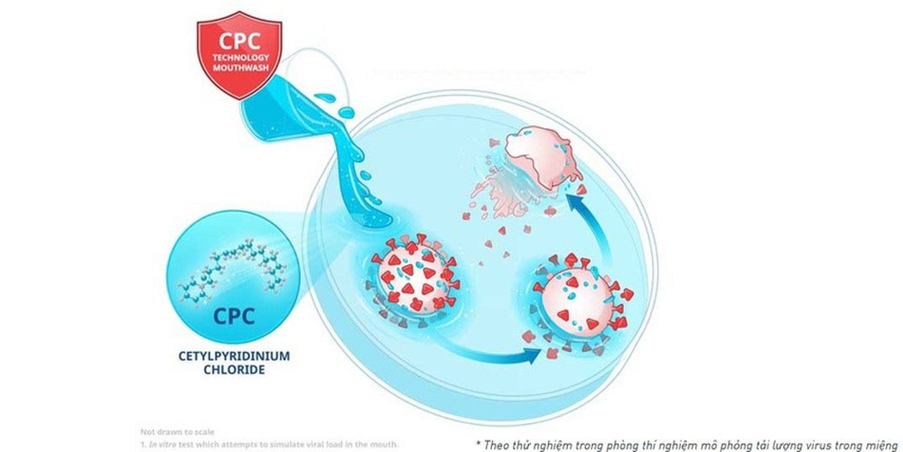 Nước súc miệng chứa 0,07% CPC có khả năng giảm 99,9% lượng virus SARS-CoV-2, kể cả Delta - Ảnh 2.